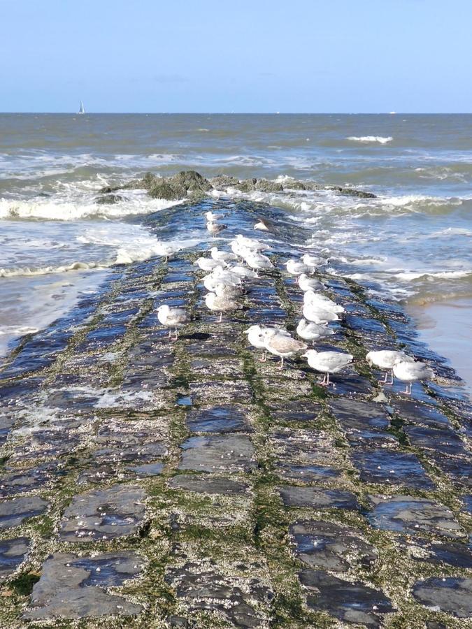 SeaBreak4you Bredene Bagian luar foto